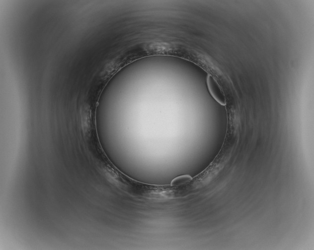 X0000112790760200908211113