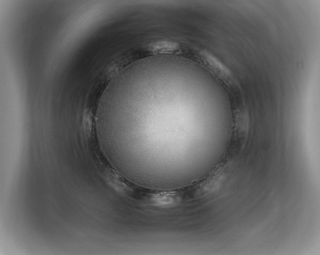 X0000112790761200908211113