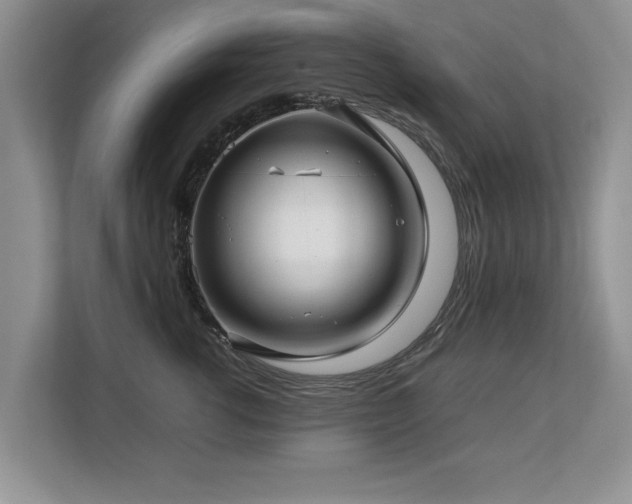 X0000112790762200908211113