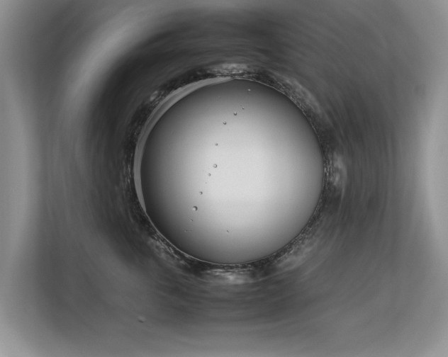 X0000112790763200908211113