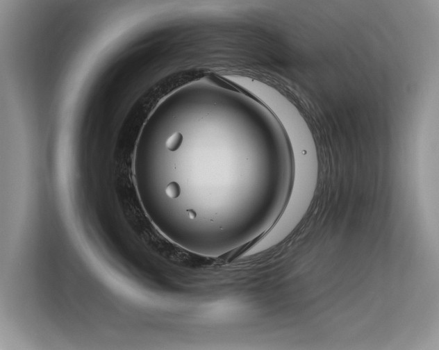X0000112790764200908211113