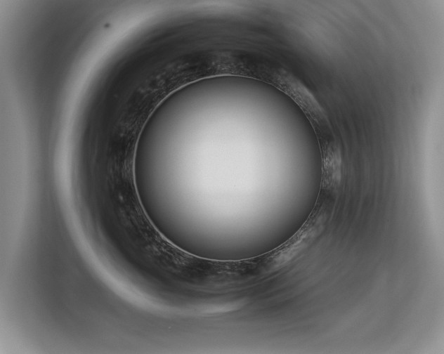 X0000112790765200908211113