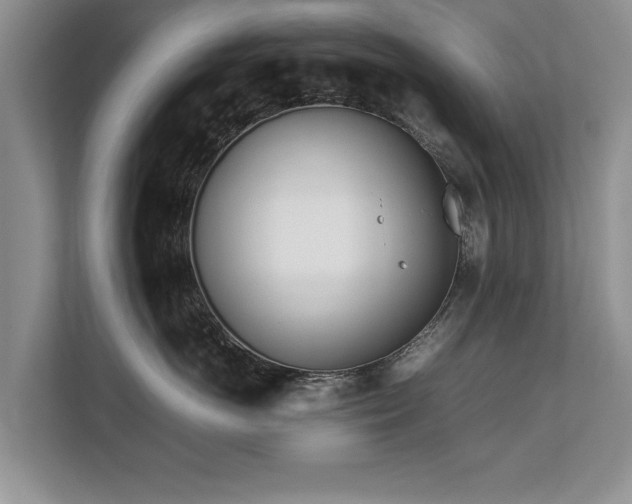 X0000112790766200908211113