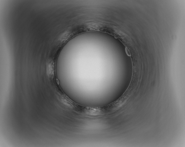X0000112790768200908211113