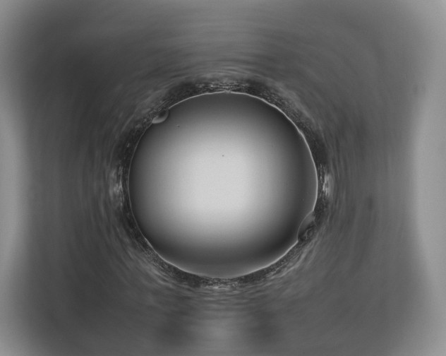 X0000112790771200908211113