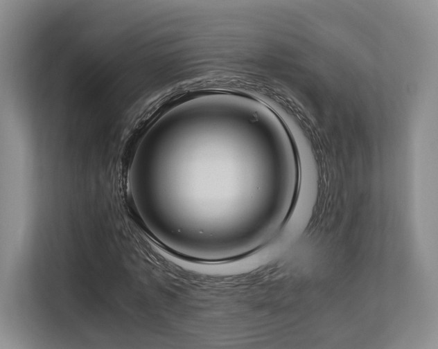 X0000112790773200908211113