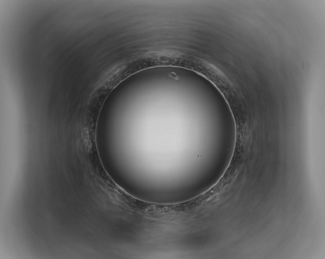X0000112790774200908211113