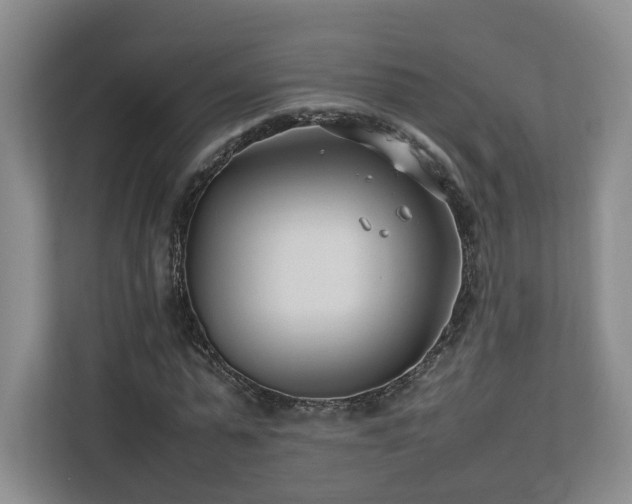 X0000112790775200908211113