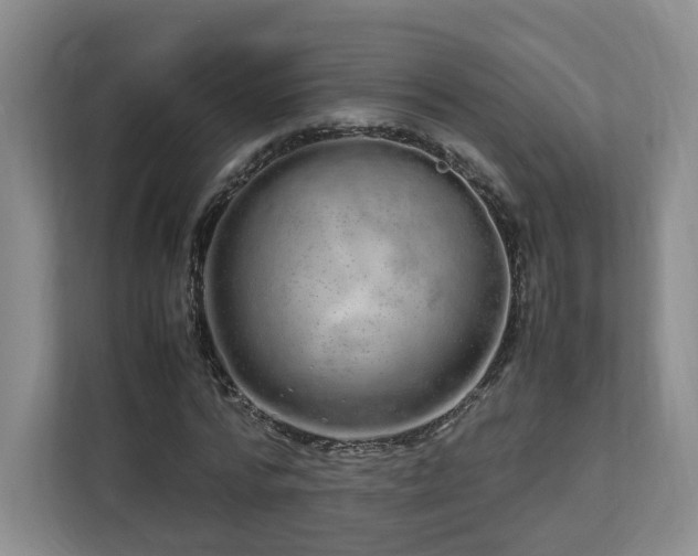 X0000112790776200908211113