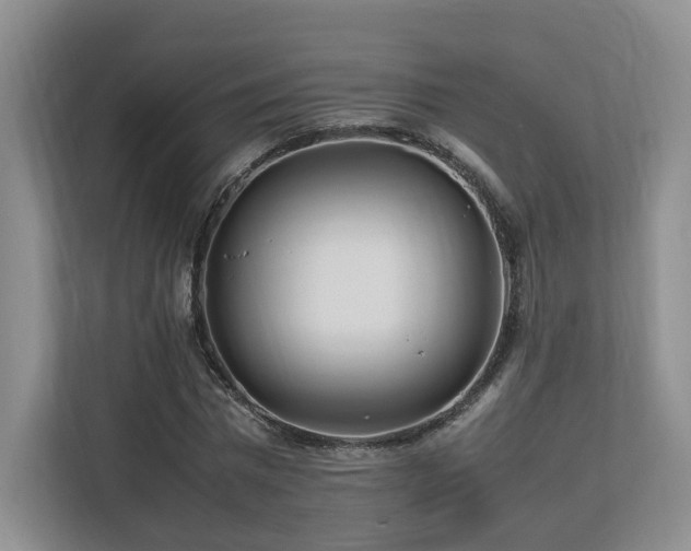 X0000112790777200908211112