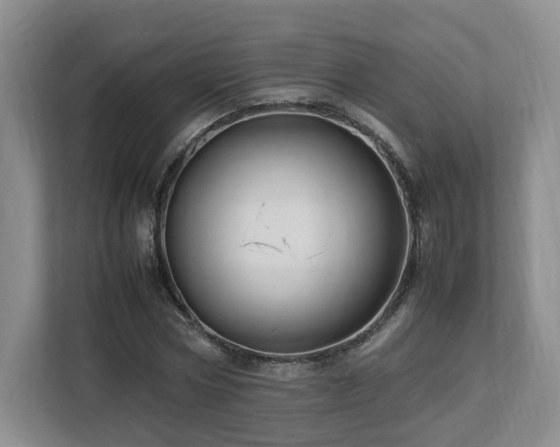 X0000112790778200908211112