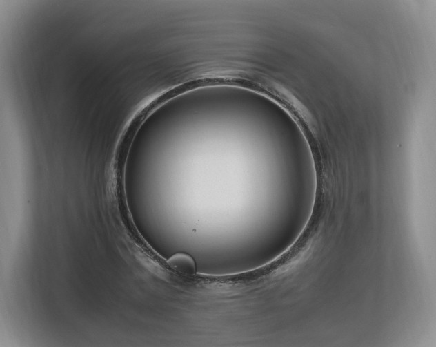 X0000112790779200908211112