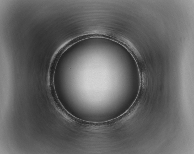 X0000112790780200908211112