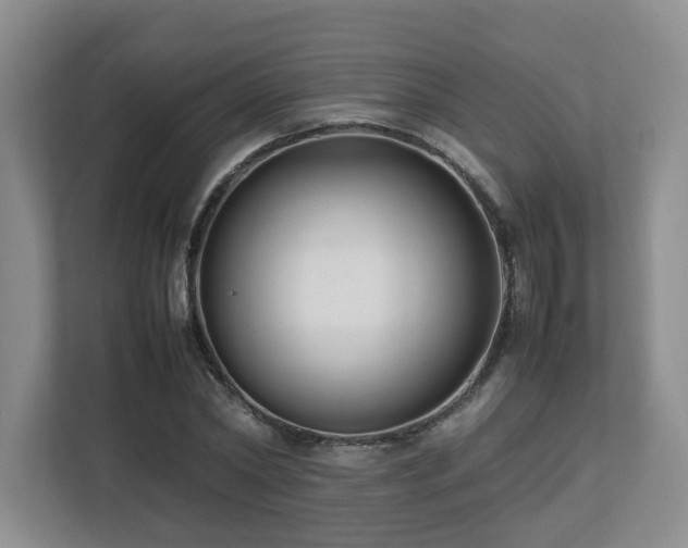 X0000112790782200908211112