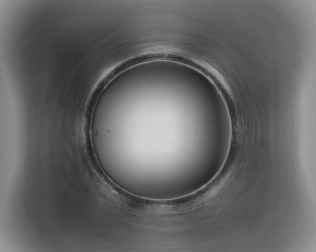 X0000112790783200908211112