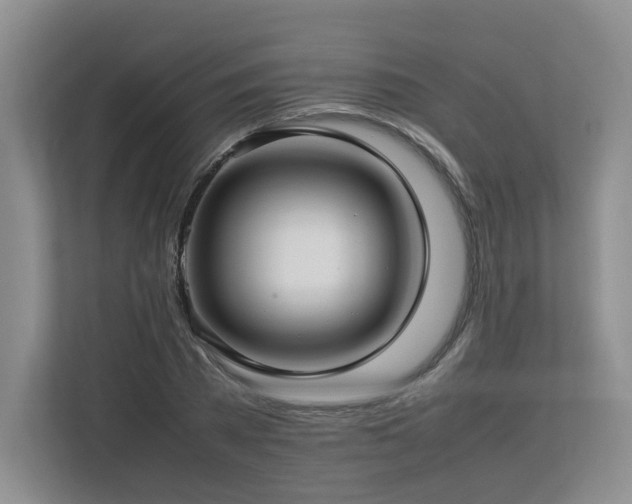 X0000112790785200908211112