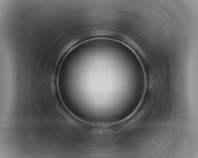 X0000112790786200908211112