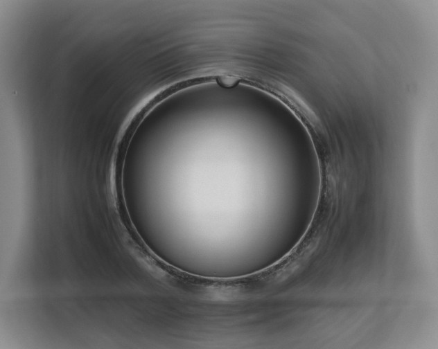 X0000112790788200908211112