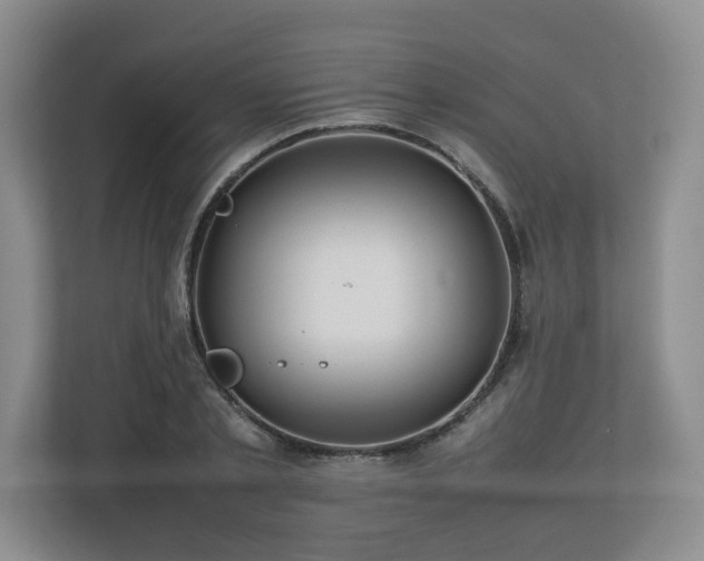 X0000112790789200908211112