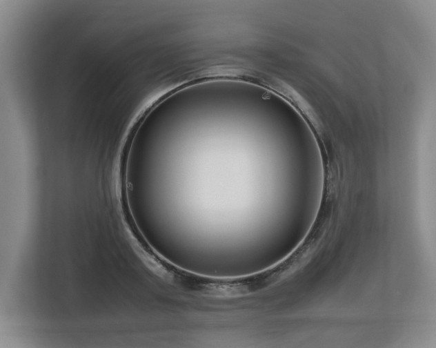 X0000112790795200908211112