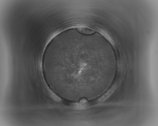 X0000112790797200908211112