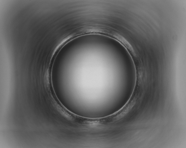 X0000112790798200908211112