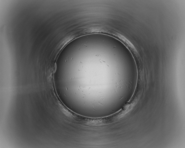 X0000112790801200908211112