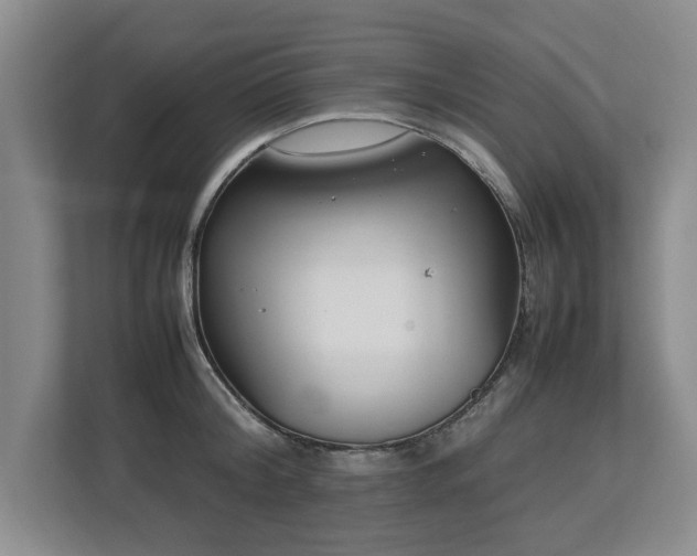 X0000112790804200908211112