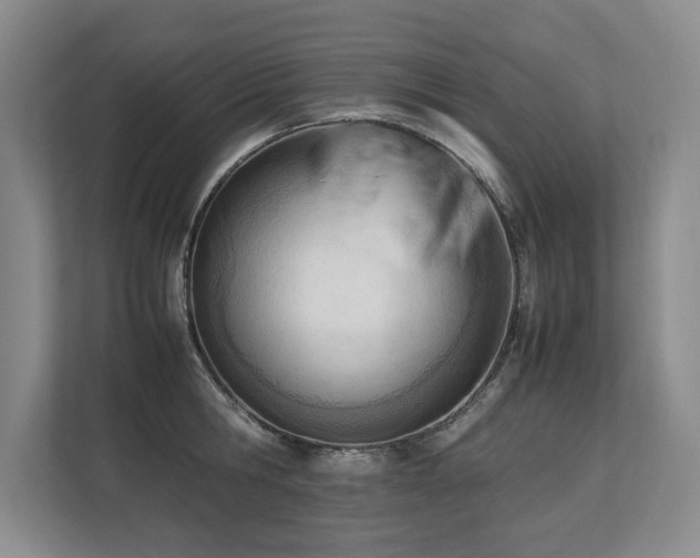 X0000112790806200908211112
