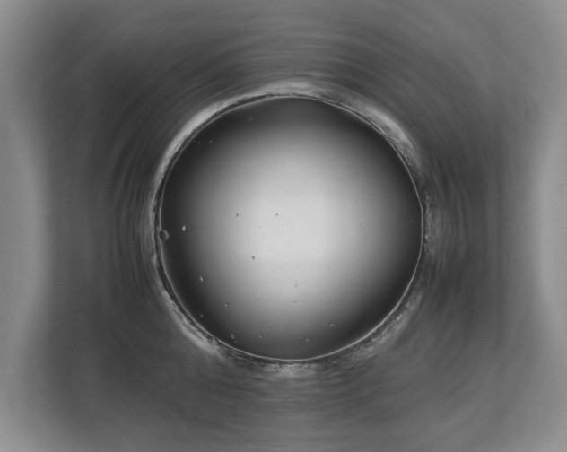 X0000112790808200908211112