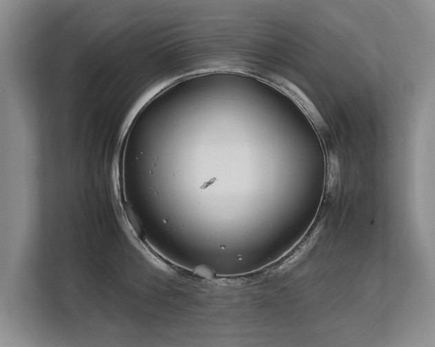 X0000112790812200908211112