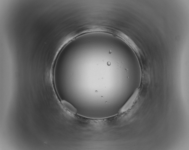 X0000112790813200908211112