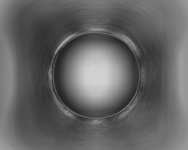 X0000112790814200908211112