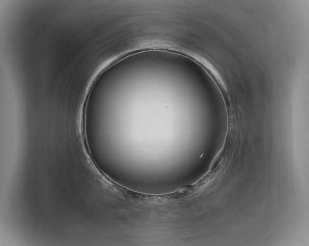 X0000112790815200908211112