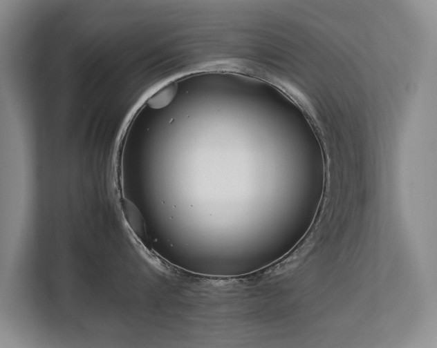 X0000112790816200908211112