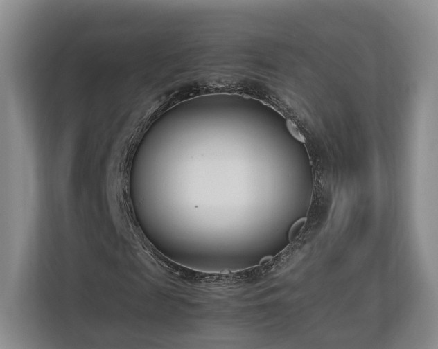 X0000112790817200908211111