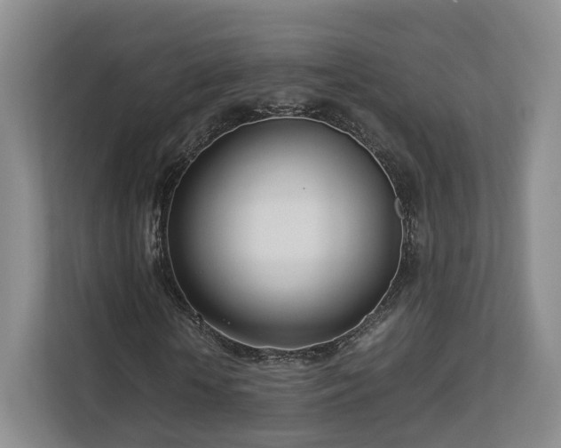 X0000112790818200908211111