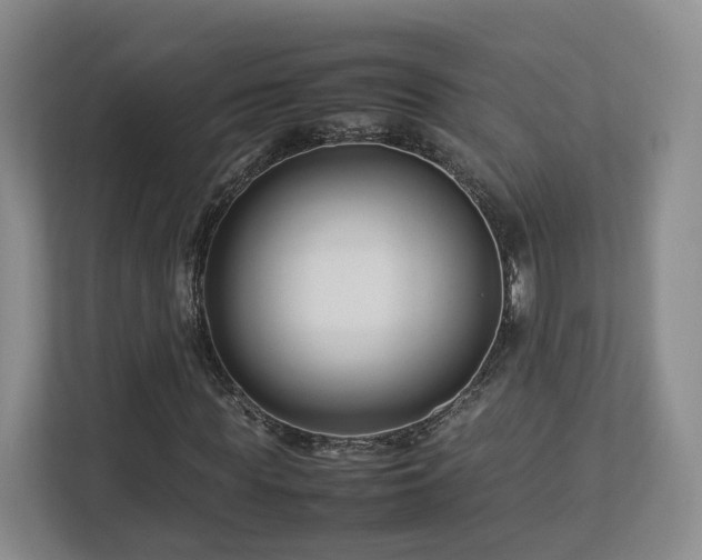 X0000112790819200908211111