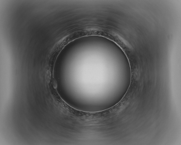X0000112790821200908211111