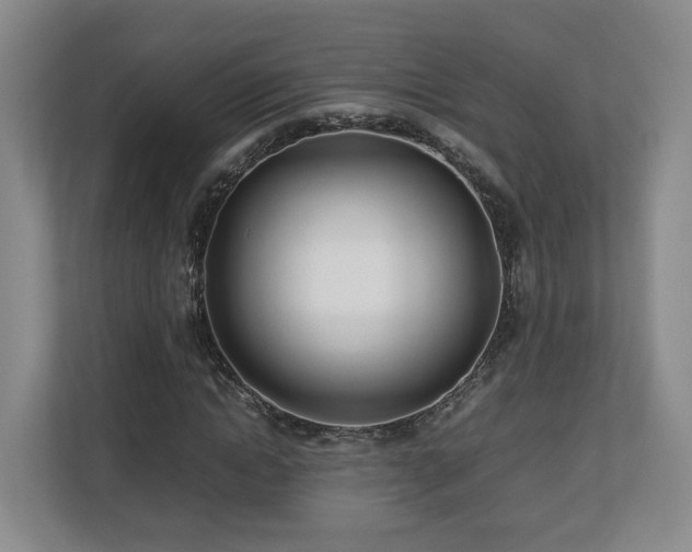 X0000112790822200908211111