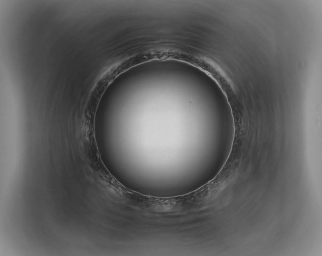 X0000112790823200908211111