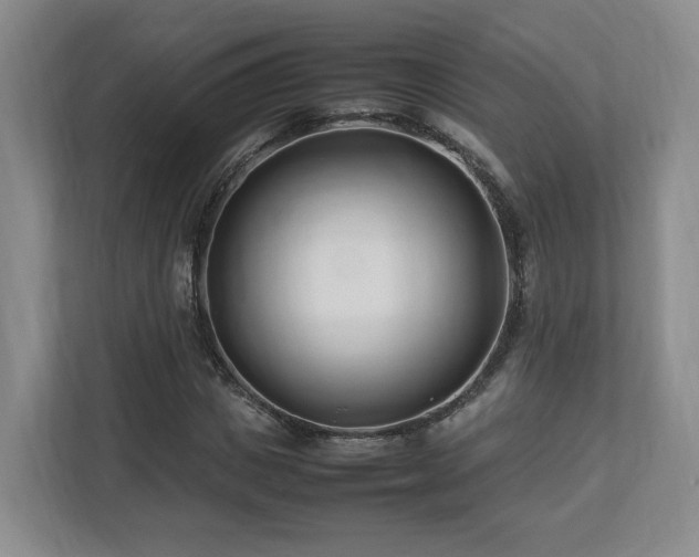 X0000112790825200908211111