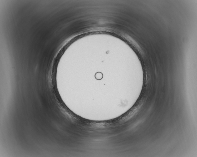 X0000112790828200908211111