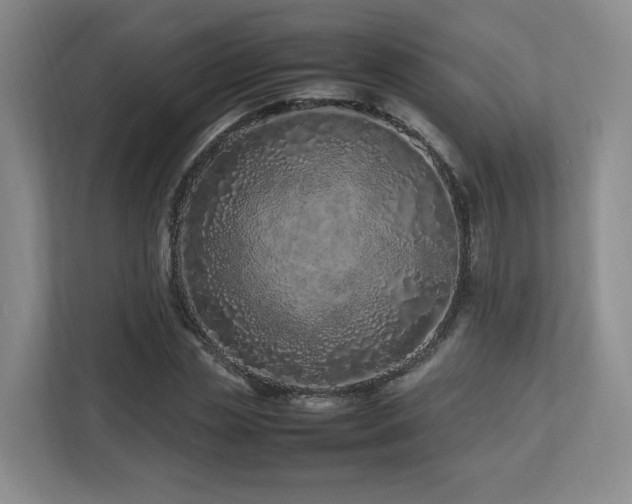 X0000112790829200908211112
