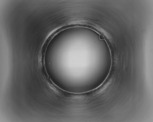 X0000112790830200908211112