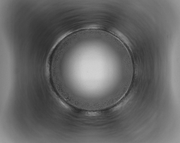 X0000112790835200908211112