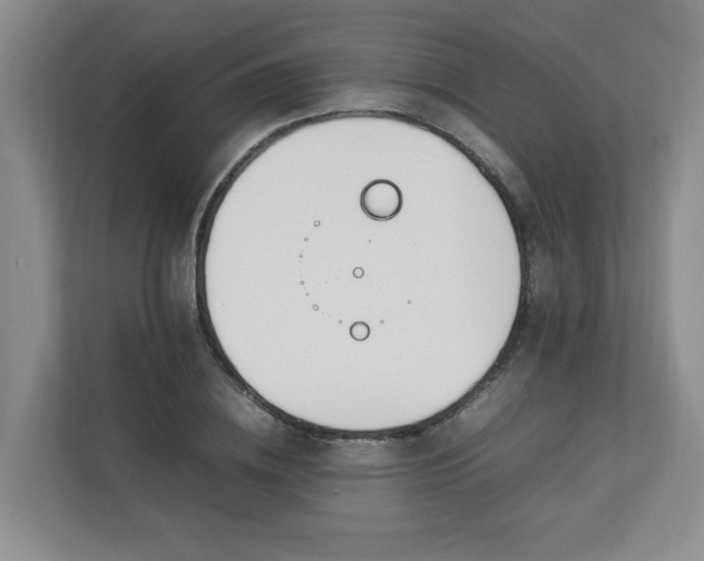 X0000112790836200908211112