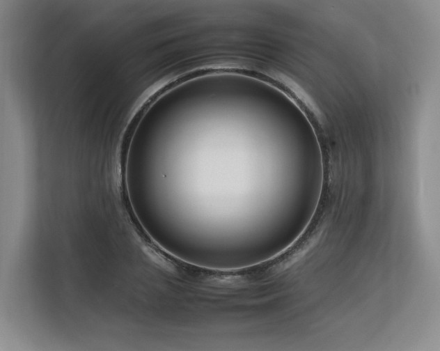 X0000112790837200908211112