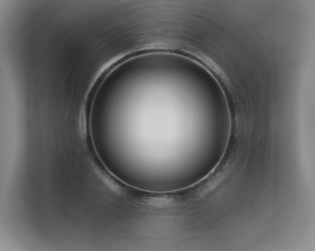X0000112790838200908211112