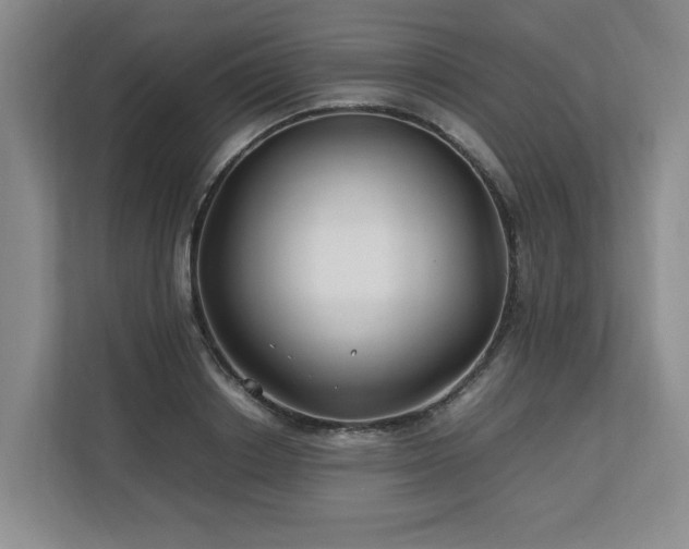 X0000112790842200908211112